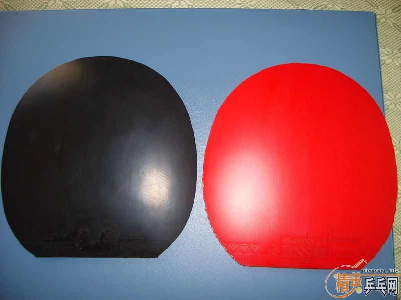 ��֧����������2+Joola Mambo+����2+Sigama