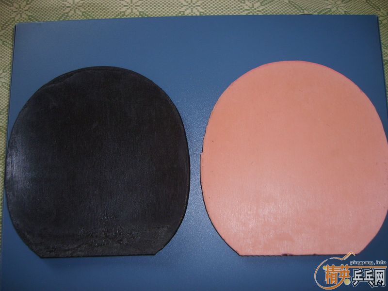 ��֧����������2+Joola Mambo+����2+Sigama