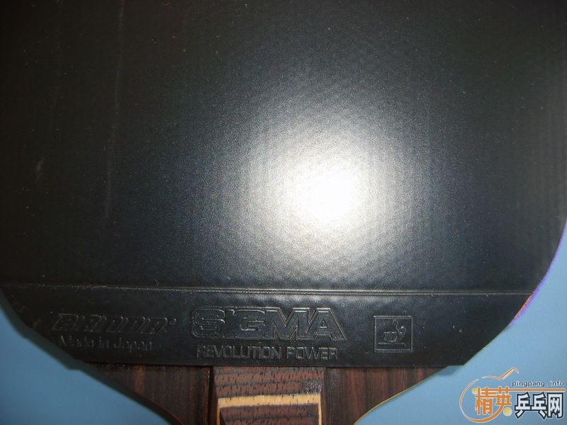 ��֧����������2+Joola Mambo+����2+Sigama