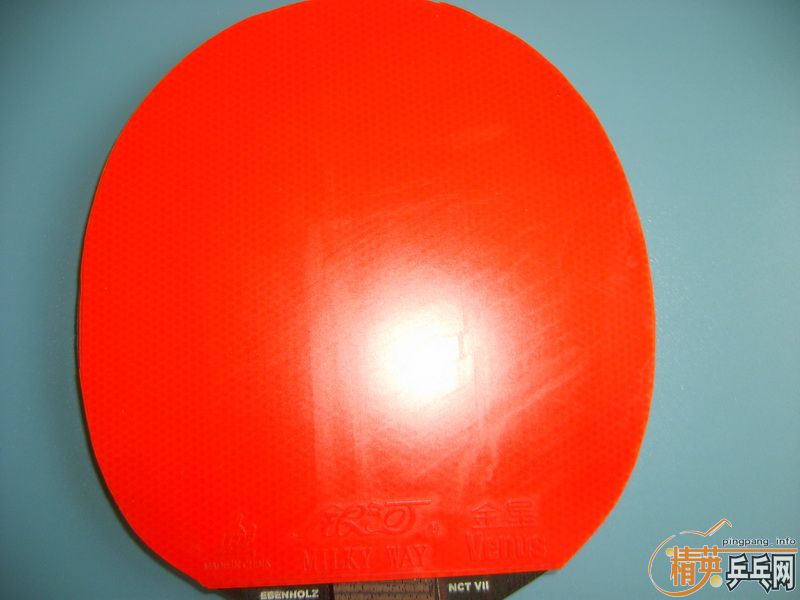 ��֧����������2+Joola Mambo+����2+Sigama