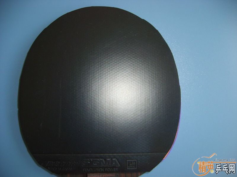 ��֧����������2+Joola Mambo+����2+Sigama