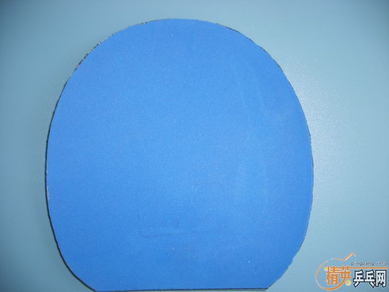 ��֧����������2+Joola Mambo+����2+Sigama