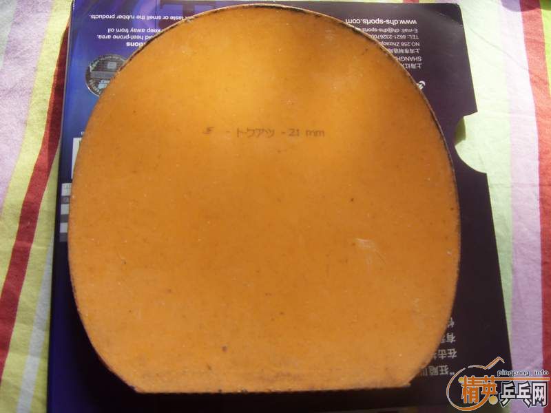 &&&&&&&&&&&&&&&&&SRIVE Lһ�� ֧����$$$$$$$$$$$$$$$$$