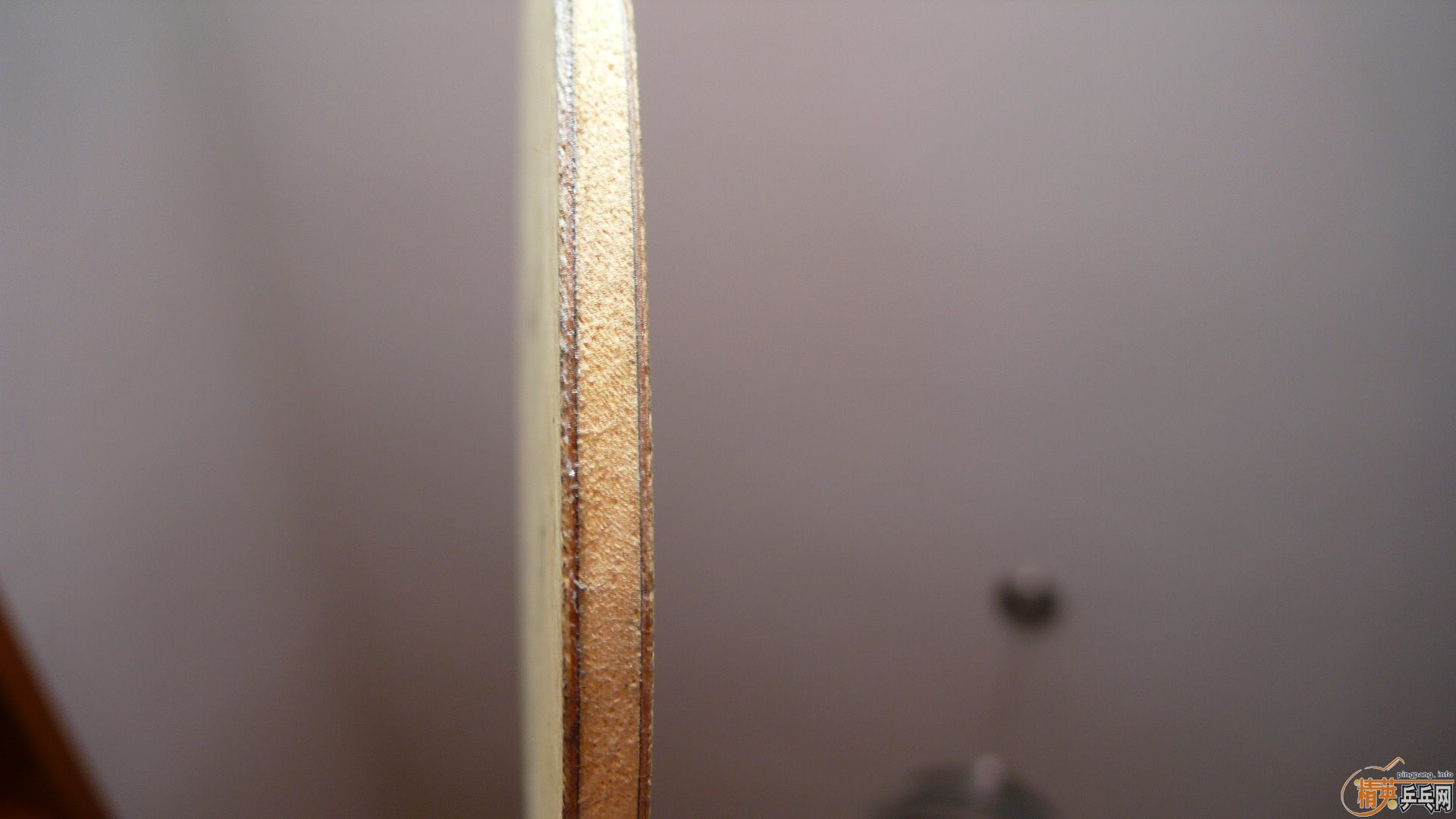 �����FL��̼YCA�����壡