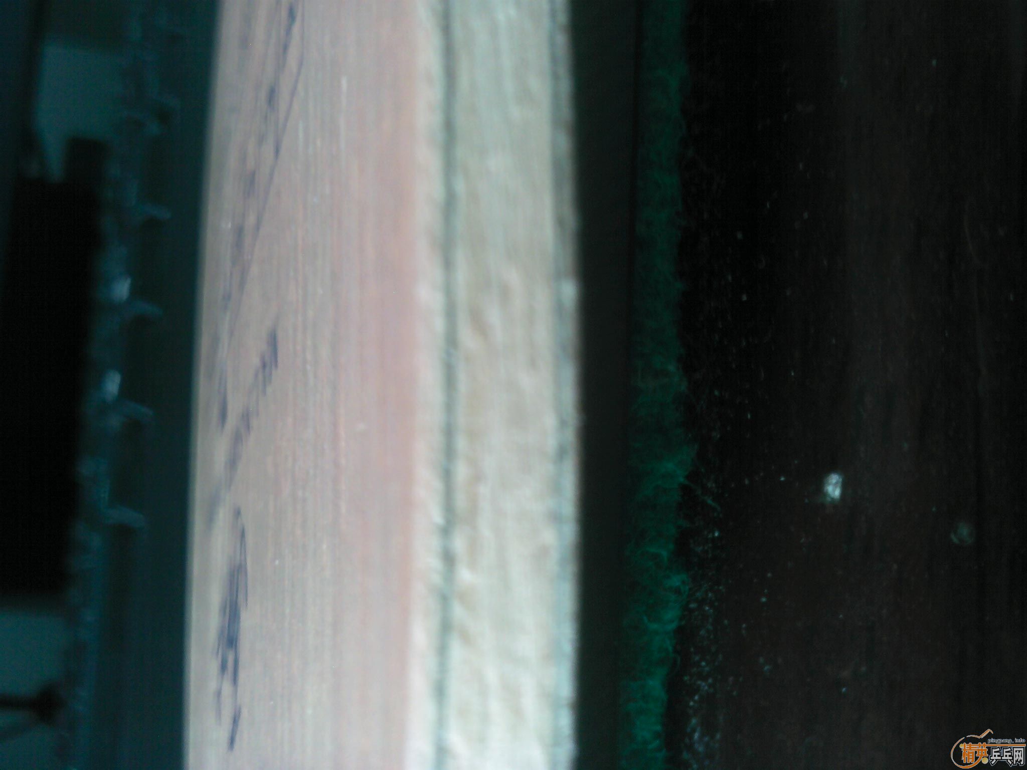 �����ѳ��ձ���������������̼�ͻ�����9.9��