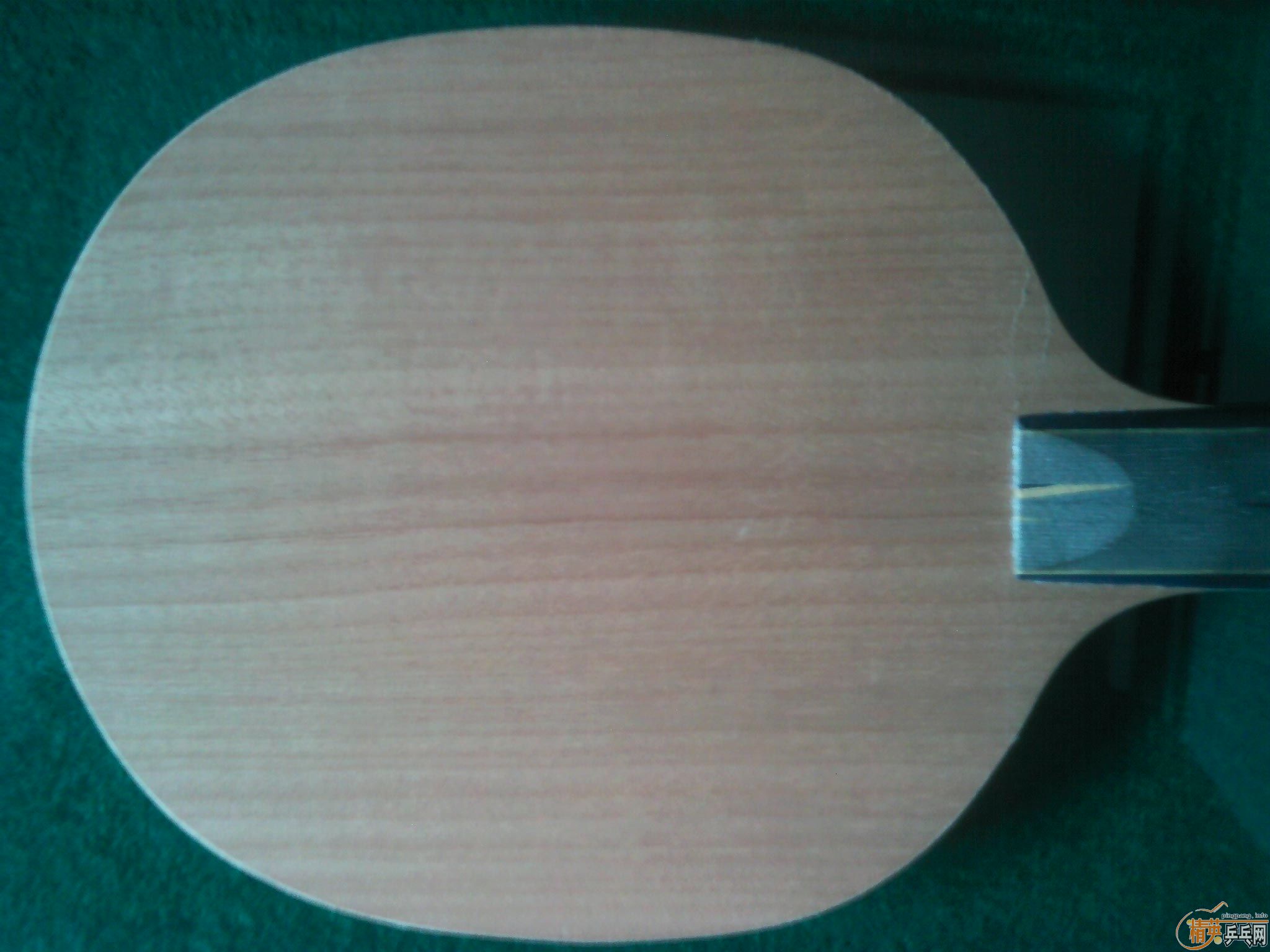 �����ѳ��ձ���������������̼�ͻ�����9.9��