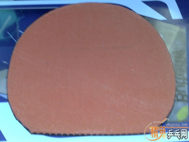 �ٳ�BOLL-ALC��T05��T64�����������ɫ���ǳ��¡����꣡