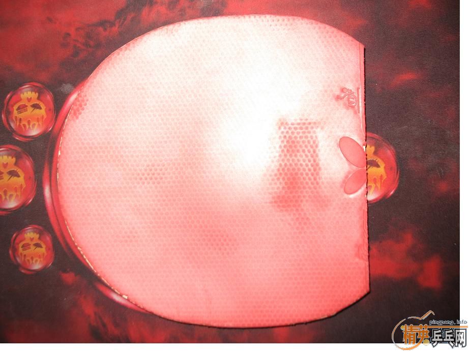 ���л�OC 86.1��+��BRYCE SPEED