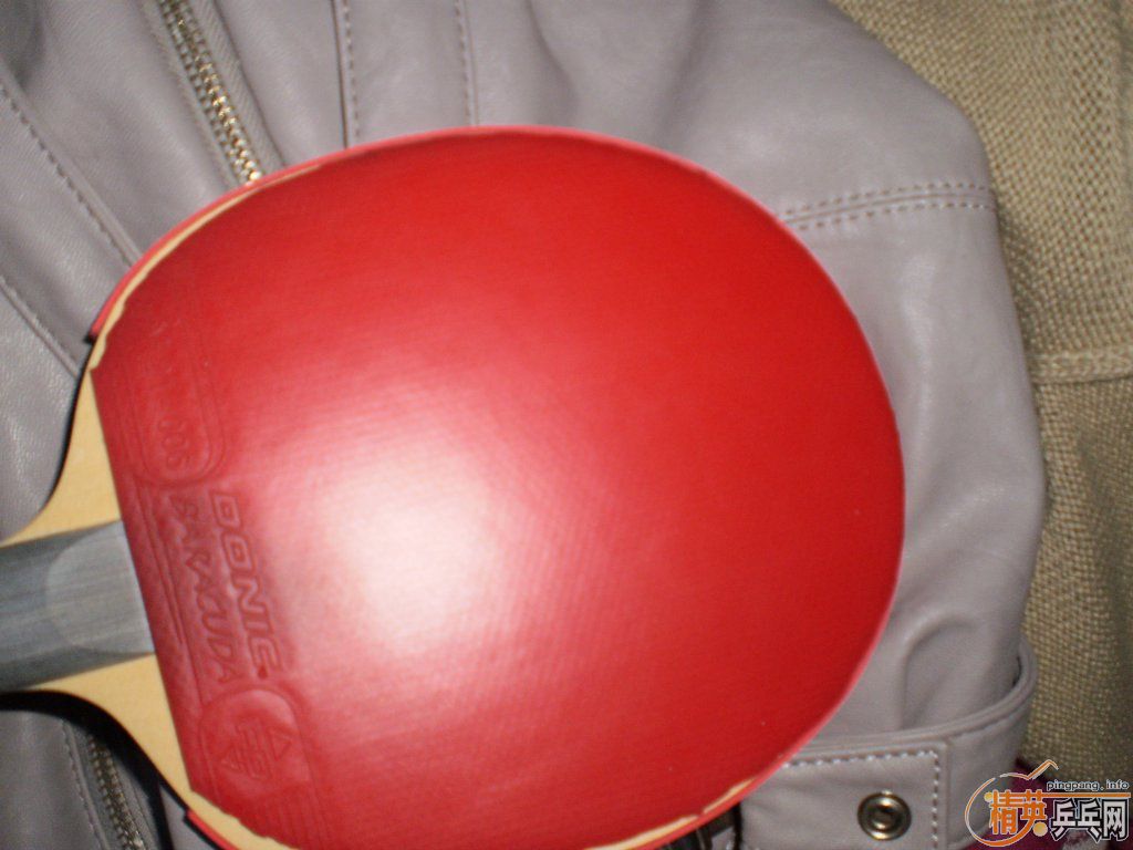 �������������baracuda,ͦ����������