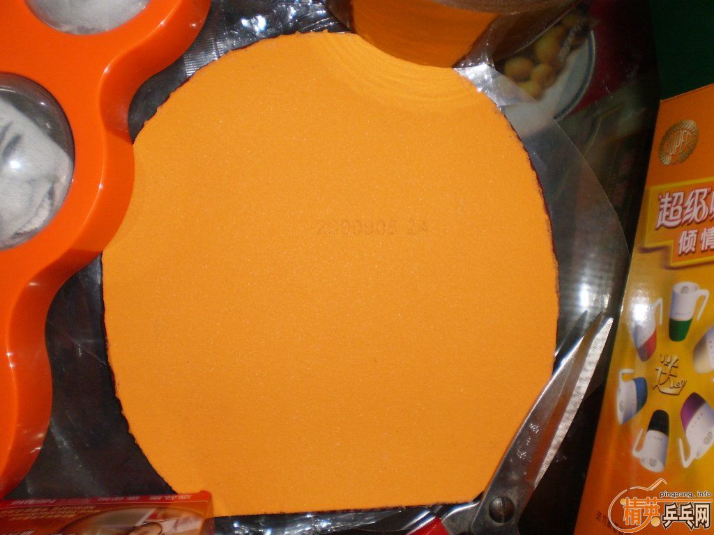 �������������baracuda,ͦ����������