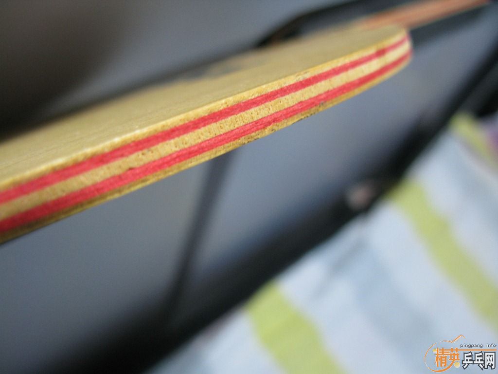 ��viva AN��H-GY��Taurus����ķ������