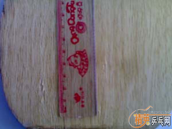 ���ѳ����ӣ�ŷ��cl�ͺ������