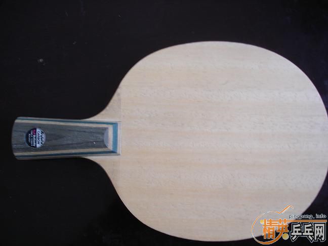 500������9���º��������Ѳ�ͼ��