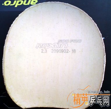 ��ֻ����һ��Сʱ�İ���ROXON 500