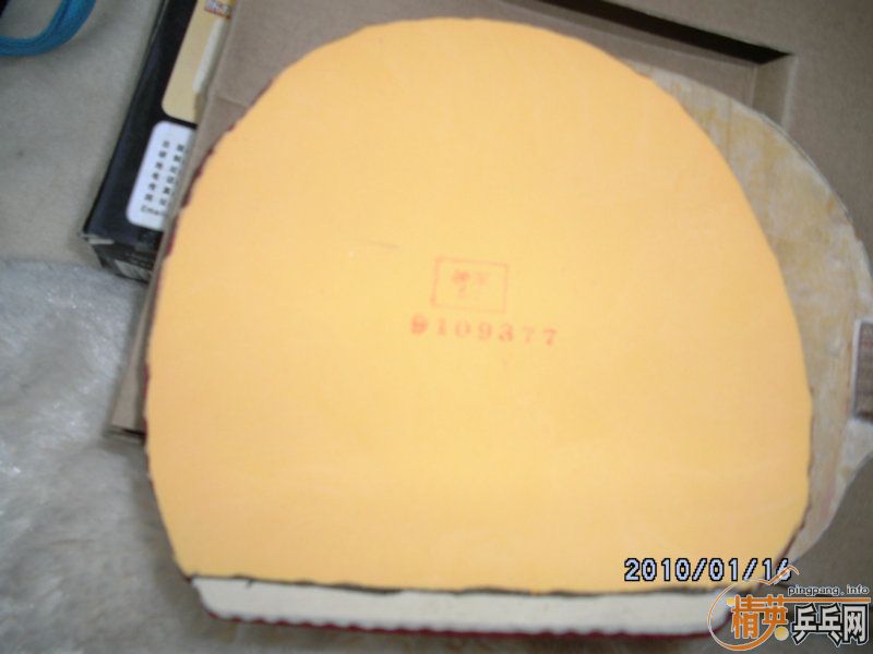 ���� ����� TSP ACTOR   ��һ��