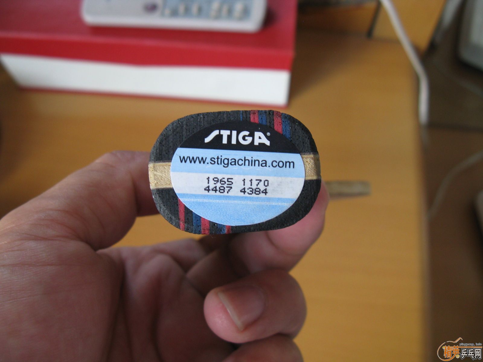 ����ֻstiga���仡Ȧ��