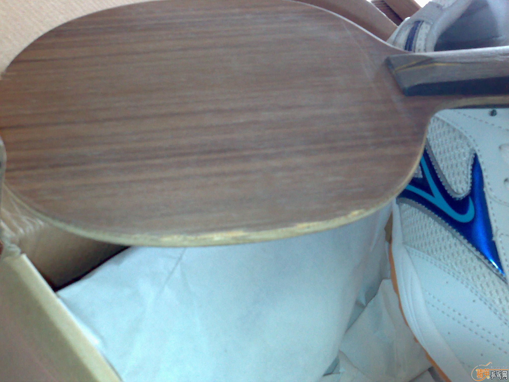 DAMDOY-SPORTֱyeoһ飬7