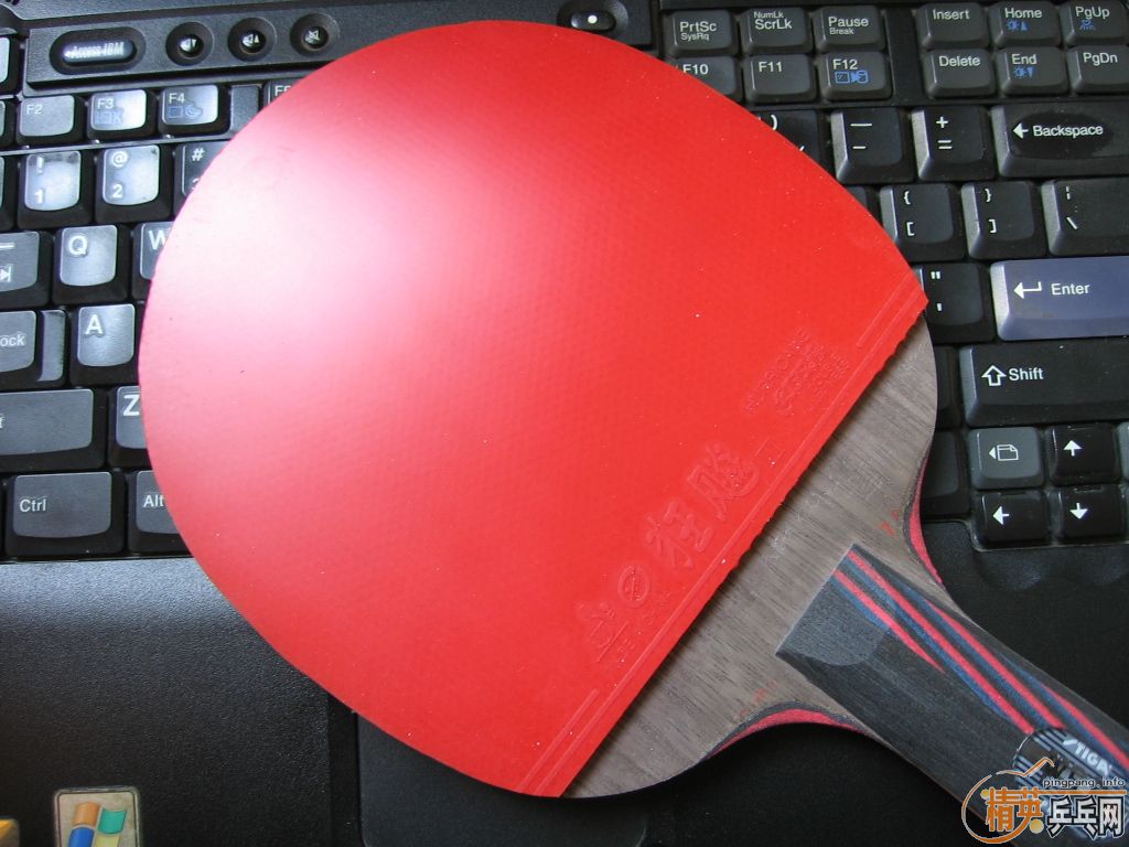 ���л����̼��370����,����������ϼ350����!