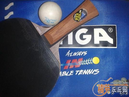 ƽ��ҹ�����±���viscaria,550