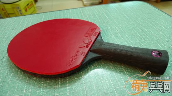 JOOLA�ڱ���壬������T05�׽�����