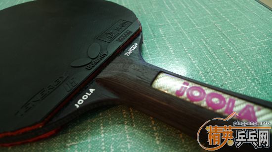 JOOLA�ڱ���壬������T05�׽�����