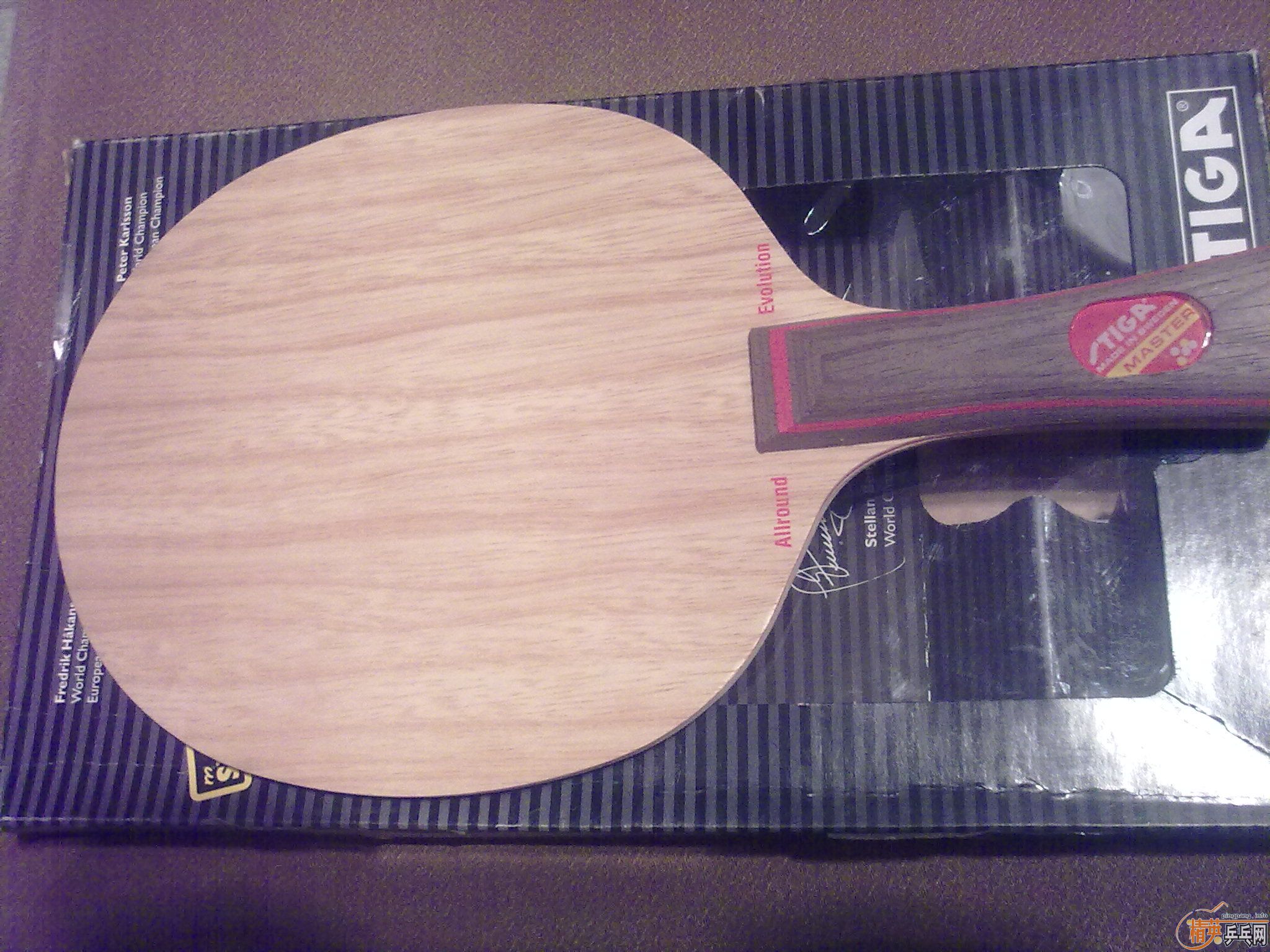 ���۳������������ڣ��������˹�ؿ�AE��