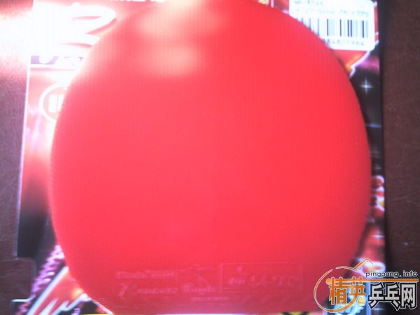 ������Renanos Bright (����)+ʡ����=200Ԫ(�����)