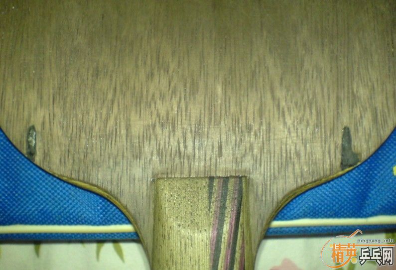 [�Ƽ�]   �� �Ͽ� ŷ�� STIGA  ��5.4��ʵ�ı���