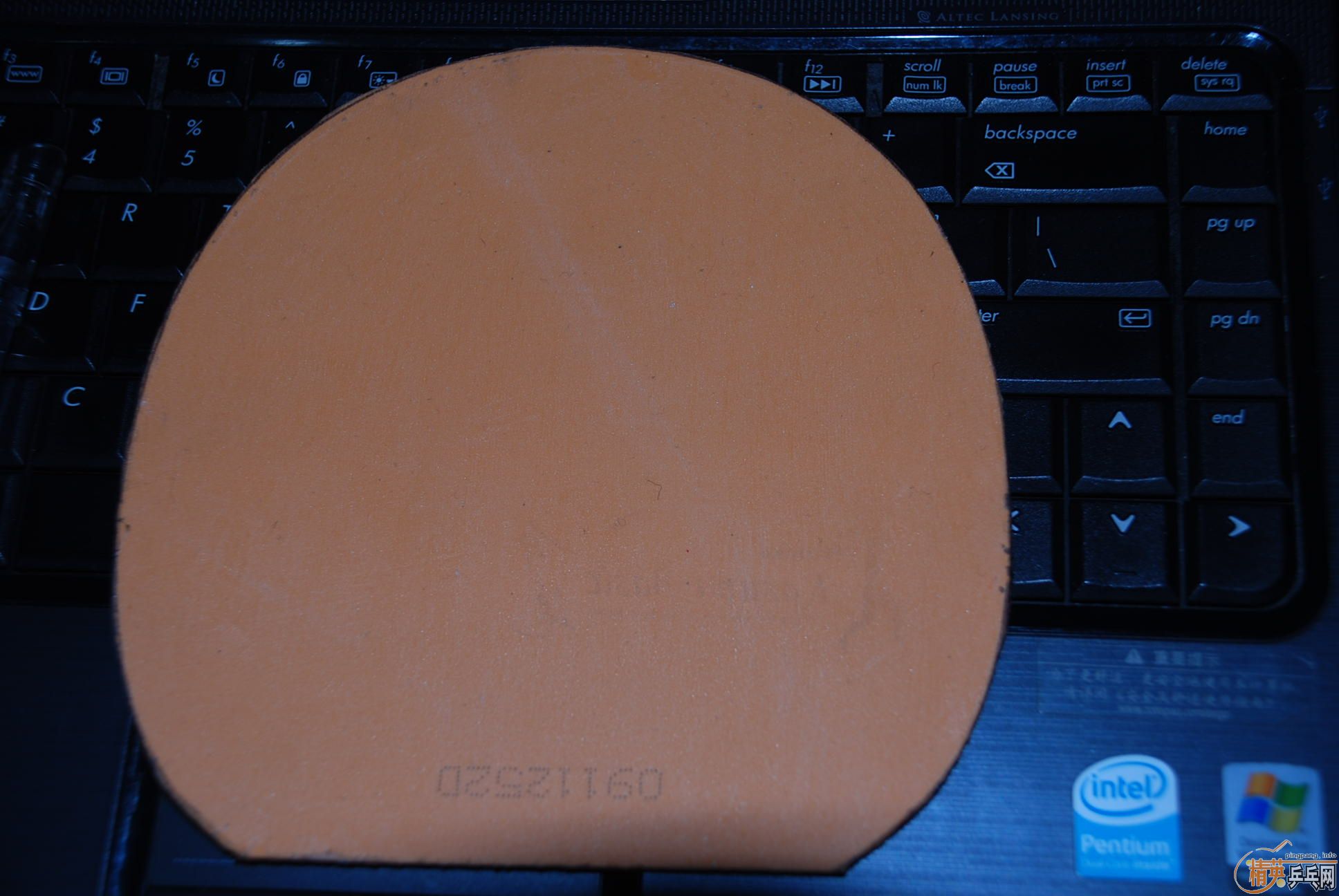 ֻ��5���ӵ��տ���׻�430����ŷ���ѣ�֧��֧��������