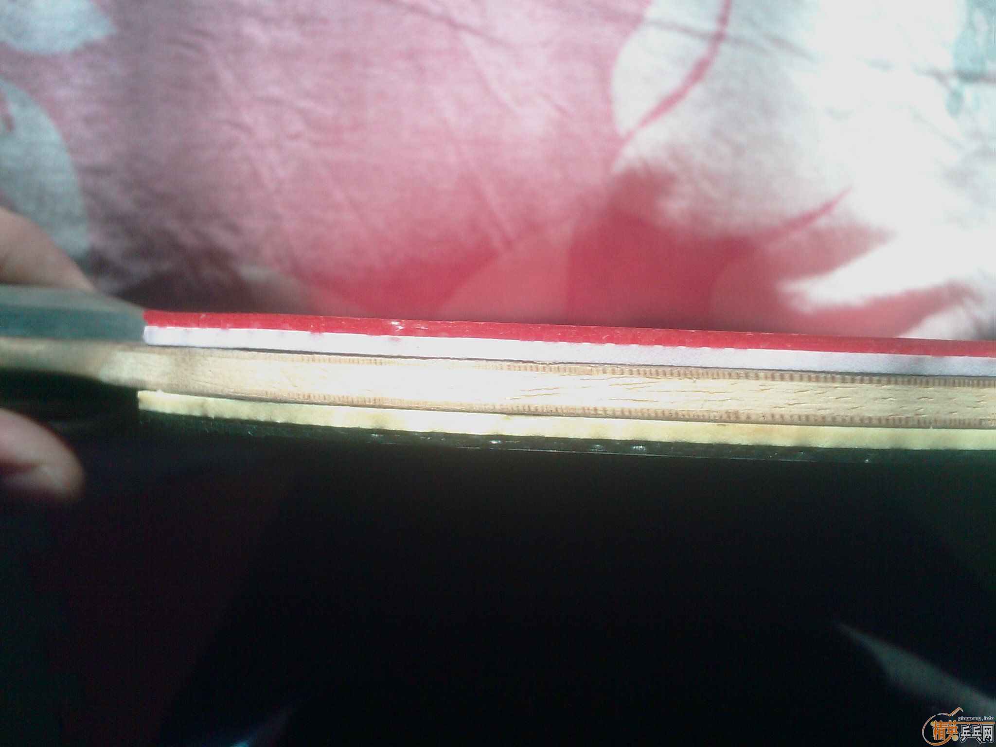 [ԭ��] ���ѳ�yeo