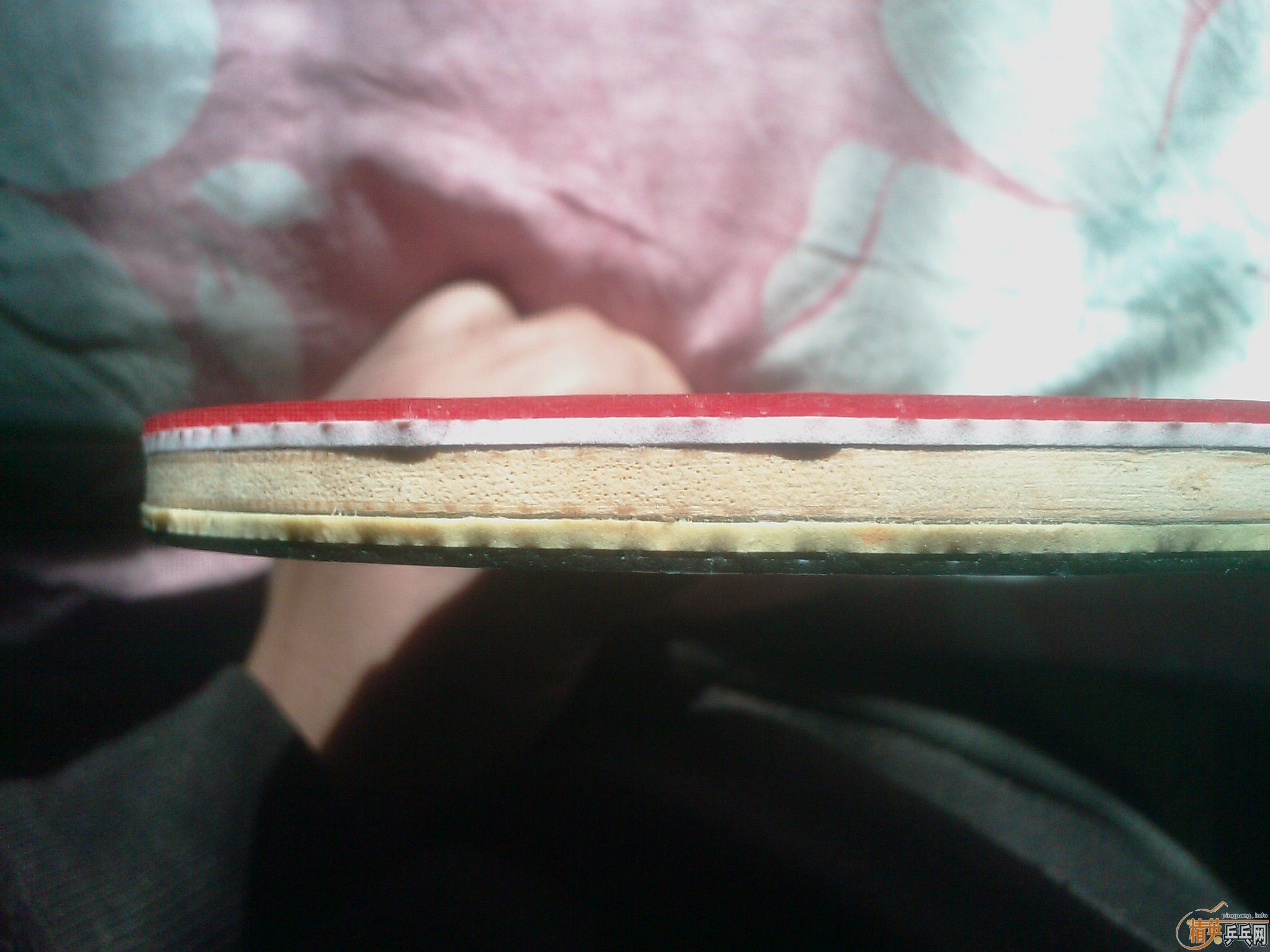 [ԭ��] ���ѳ�yeo