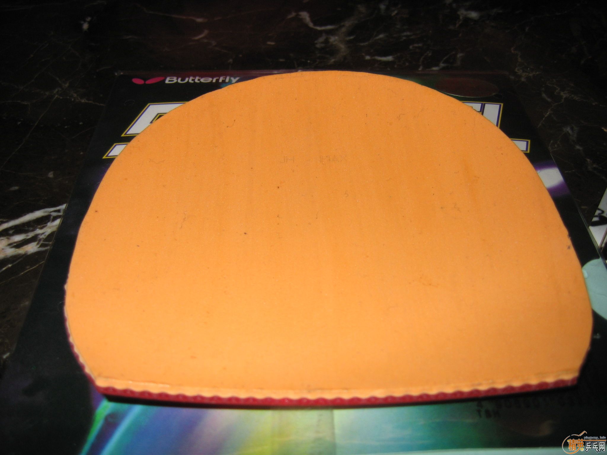 2010�� ��һ�� EL MAX 99�� �ؼ�