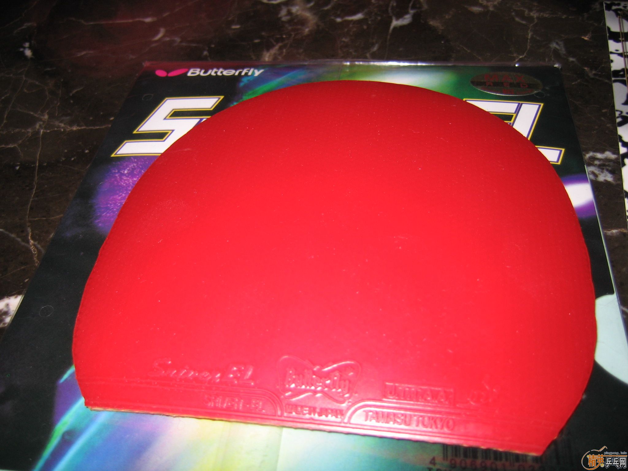 2010�� ��һ�� EL MAX 99�� �ؼ�