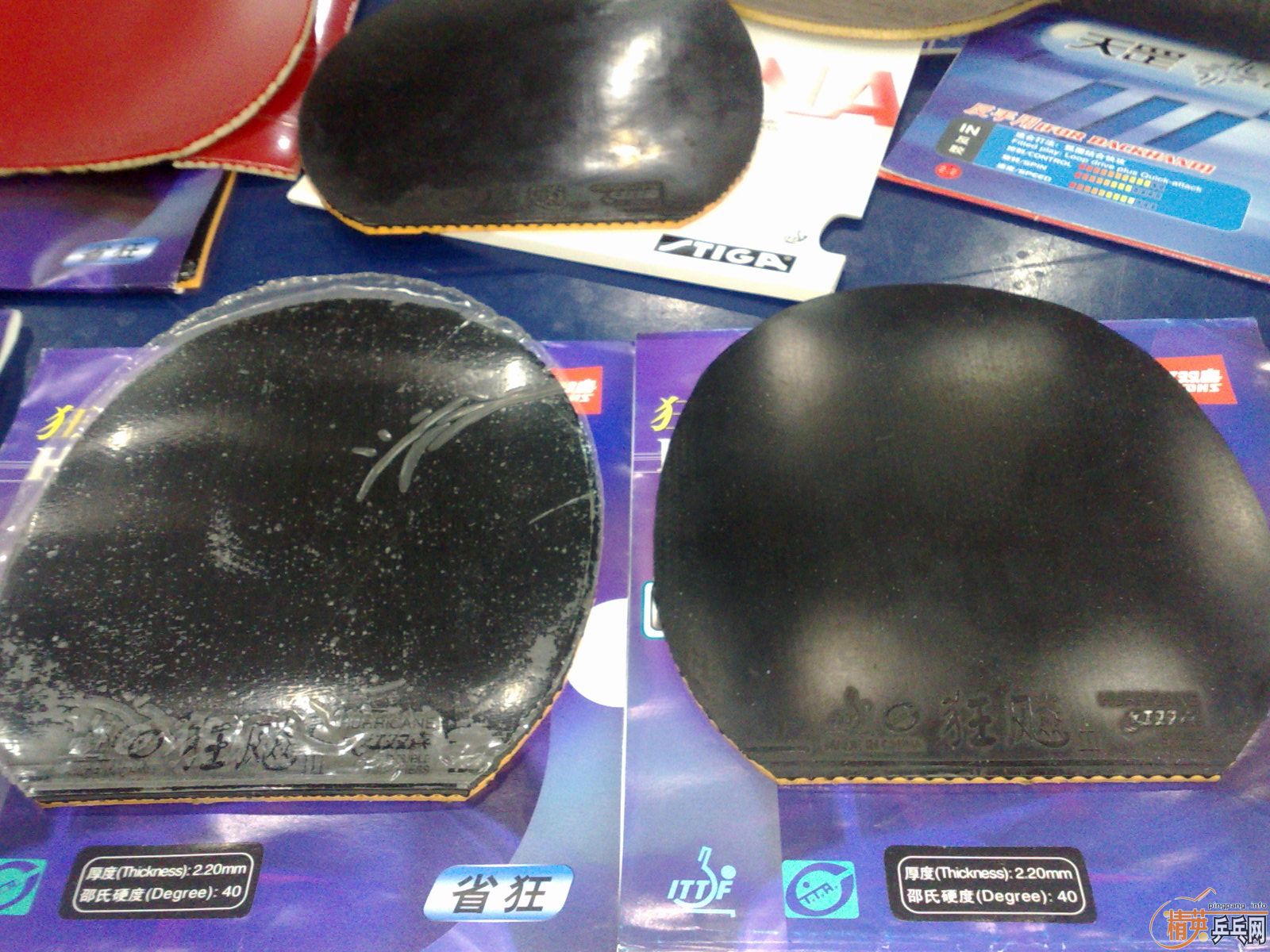 ___��ʡ��6��ȫ������ɫ����ײ˼�___