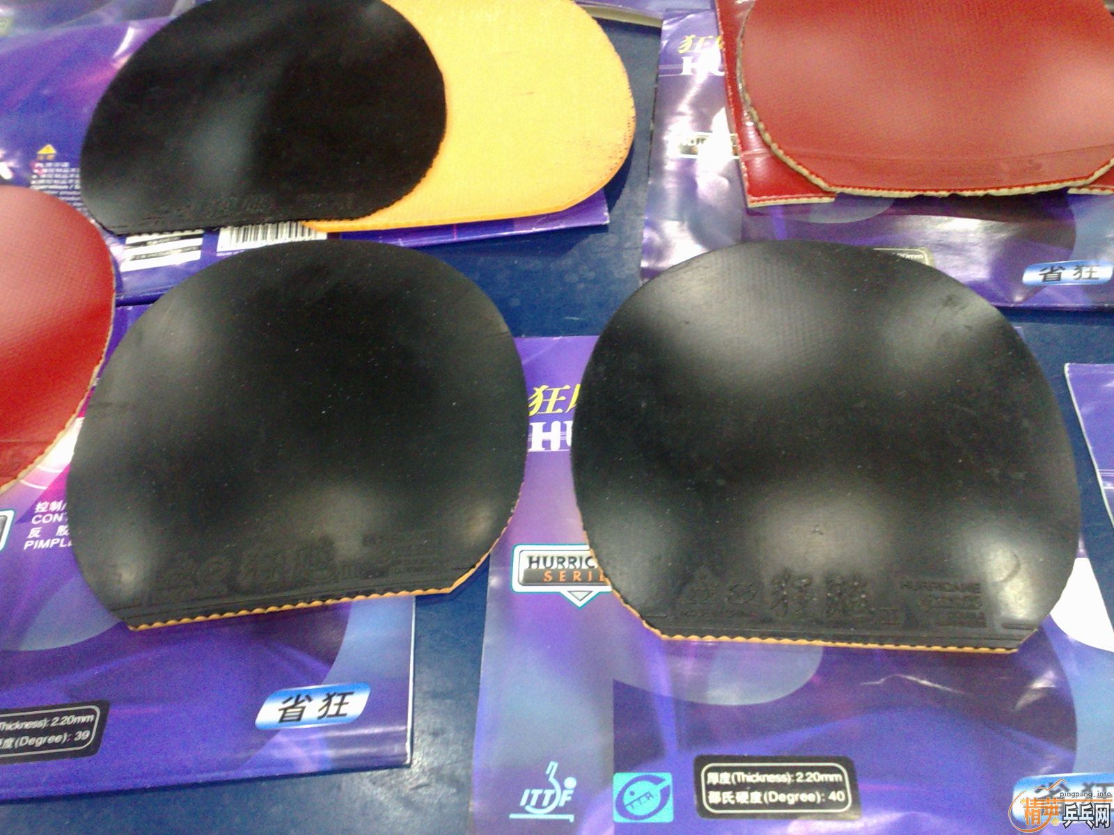 ___��ʡ��6��ȫ������ɫ����ײ˼�___