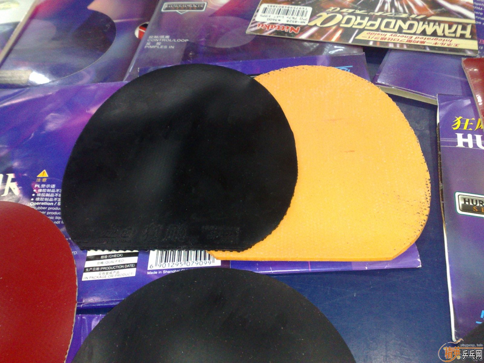 ___��ʡ��6��ȫ������ɫ����ײ˼�___