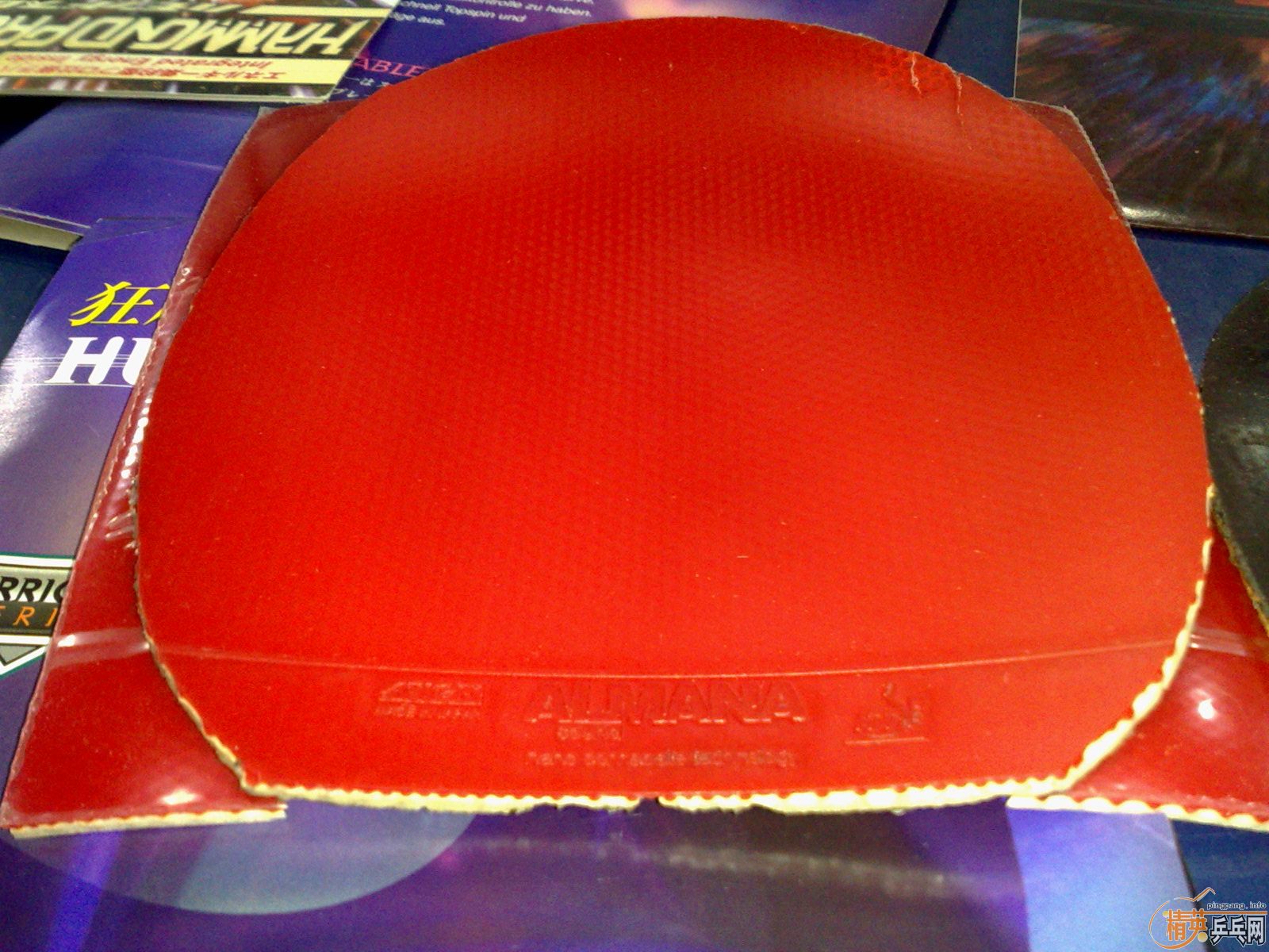 ___��ʡ��6��ȫ������ɫ����ײ˼�___