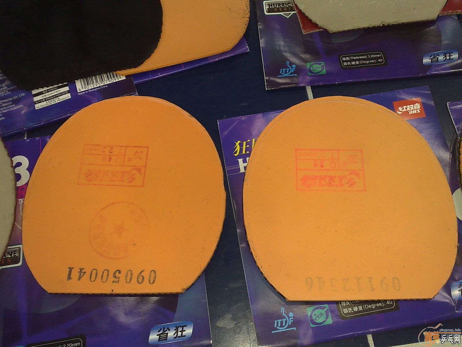 ___��ʡ��6��ȫ������ɫ���ײ˼���___