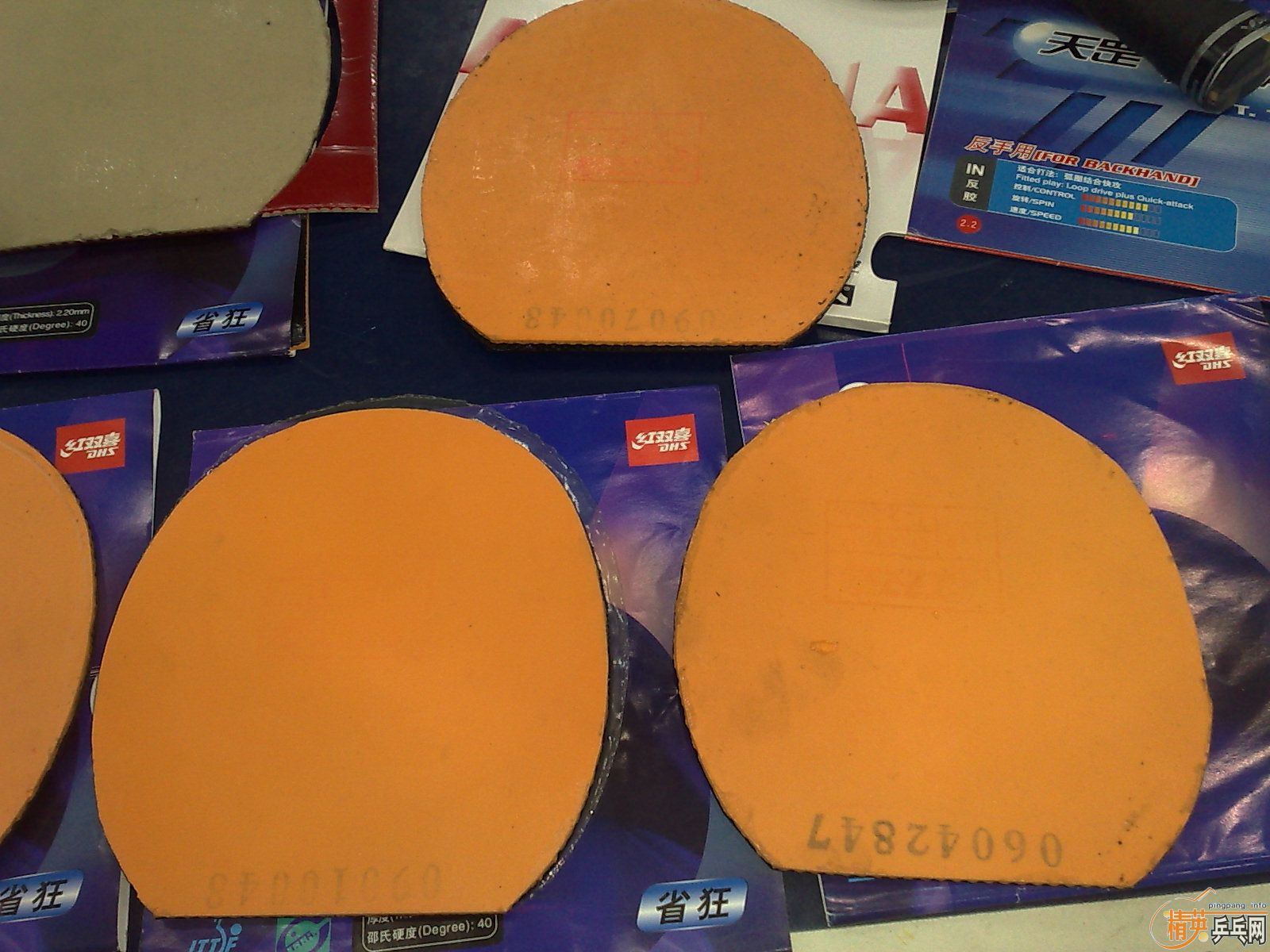 ___��ʡ��6��ȫ������ɫ���ײ˼���___