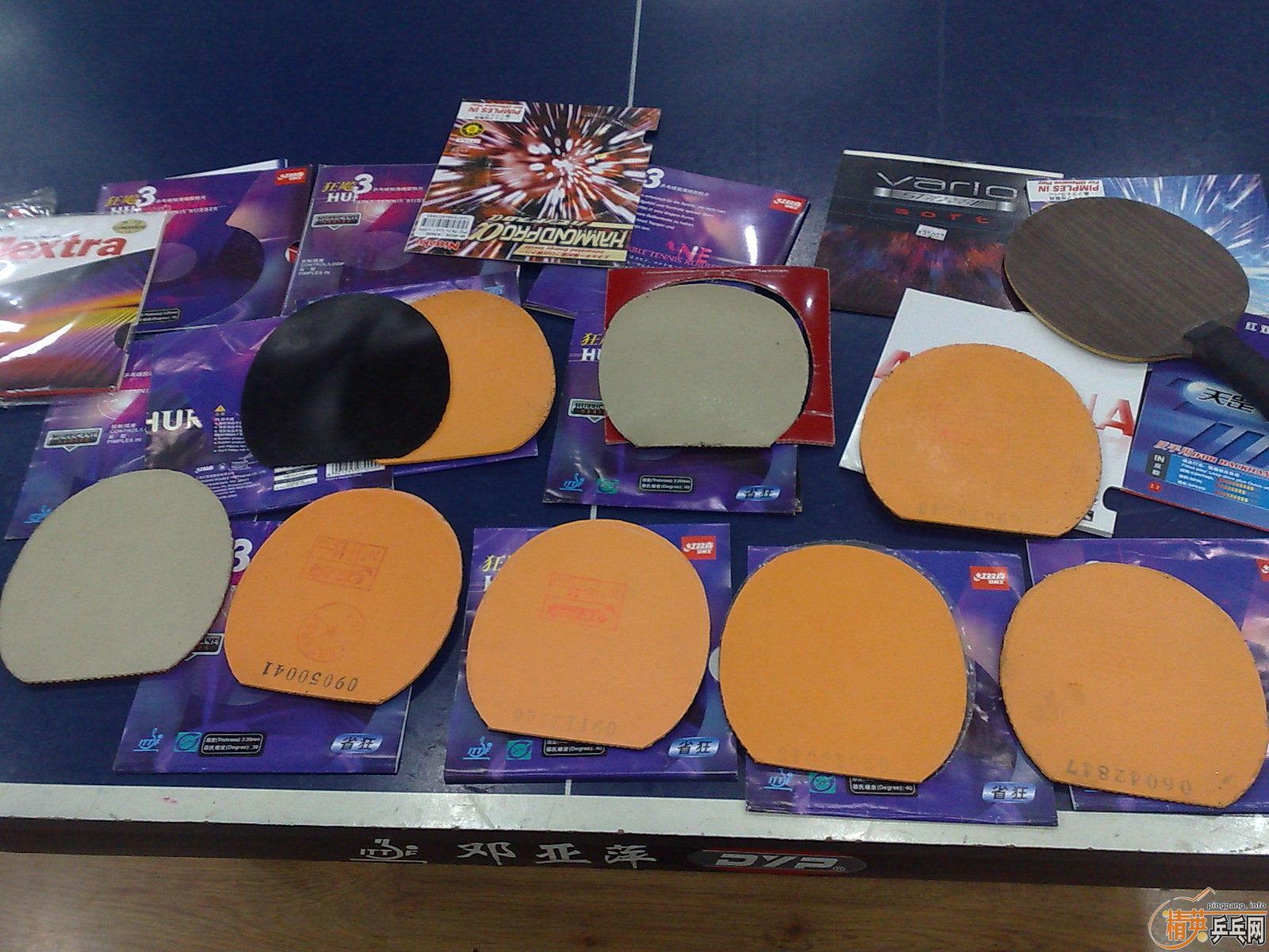 ___��ʡ��6��ȫ������ɫ���ײ˼���___