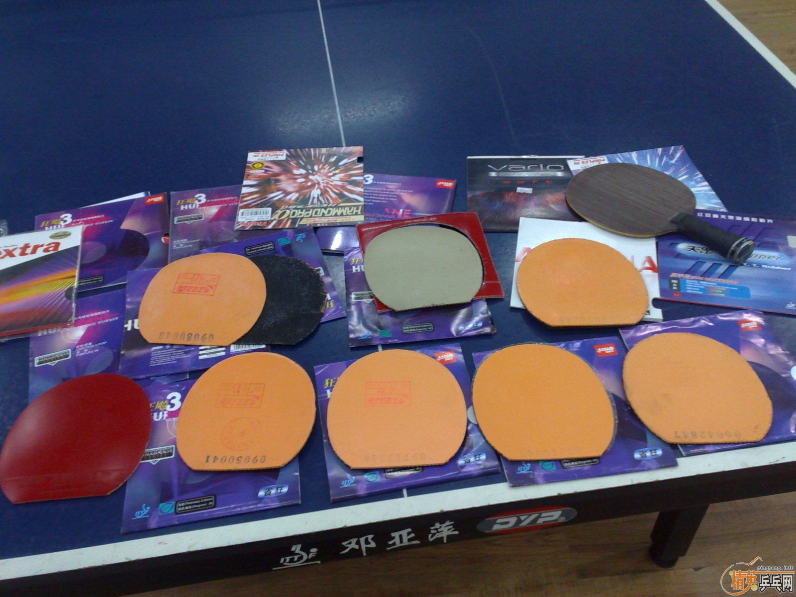 ___��ʡ��6��ȫ������ɫ���ײ˼���___