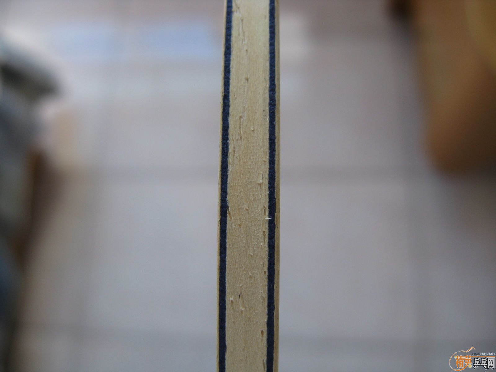 ������ȫ�µ�EG  260Ԫ����