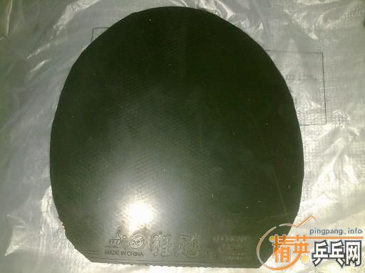 ������ ���㽺Ƥ