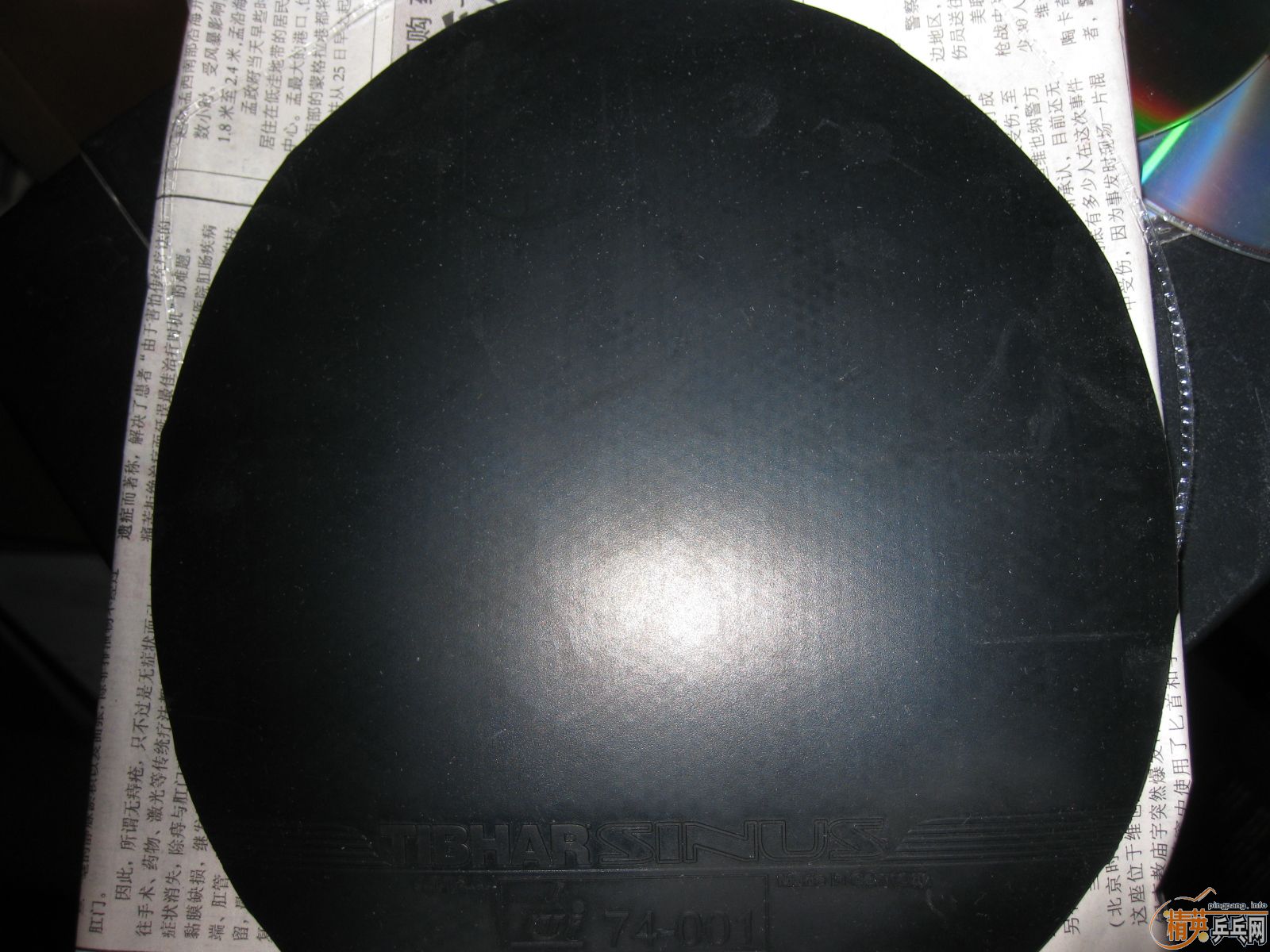 ���µ�ͦ�� ������ ��ɫ ���MAX