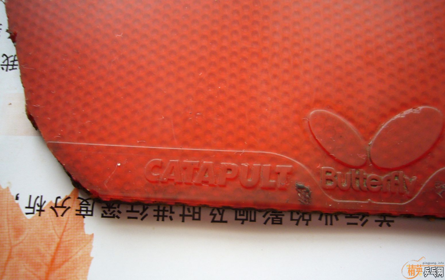 ����� CATAPULT 40���죬��֧����