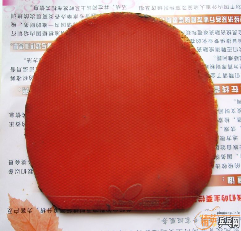 ����� CATAPULT 40���죬��֧����