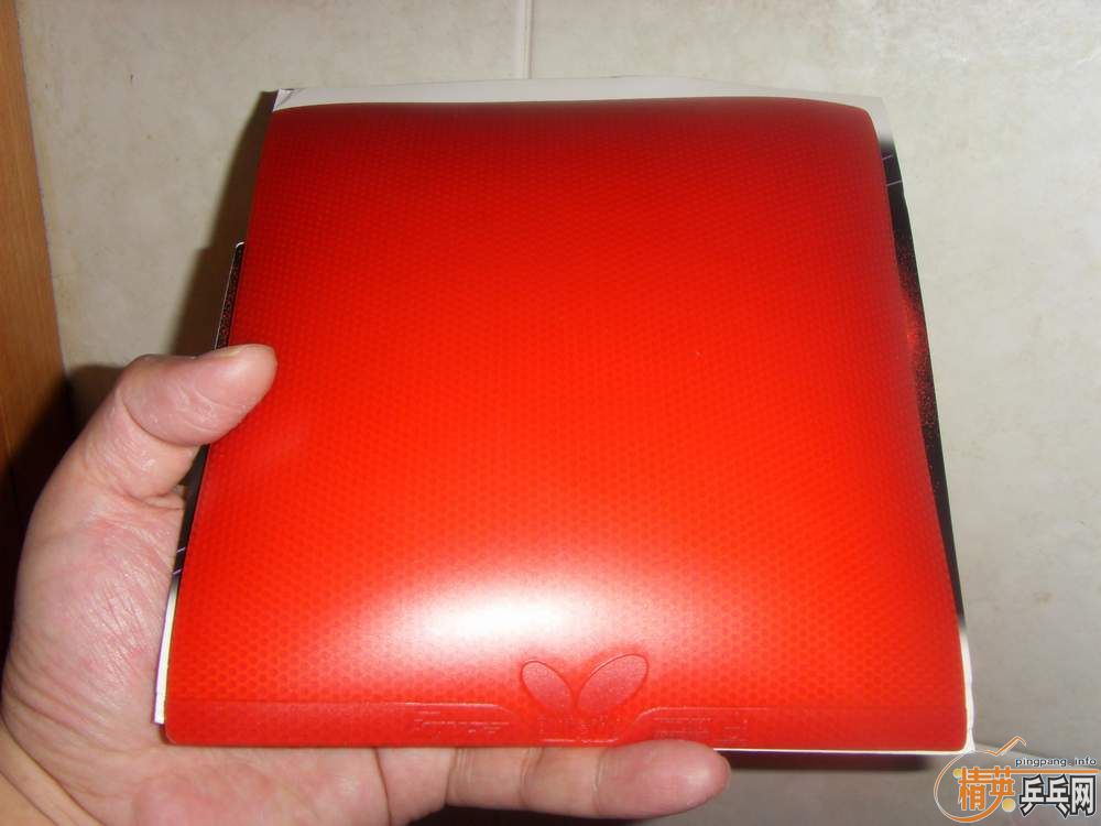 zlcδ�����Ǿͳ���ͺ͹��ɵ�@