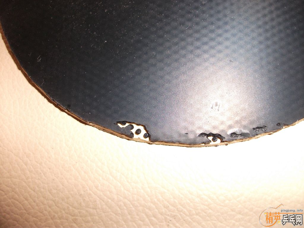 ���˳�����ֱ���ͺ�ɫ��������,���׼Ӣ�,����470(120Ԫȫ��)