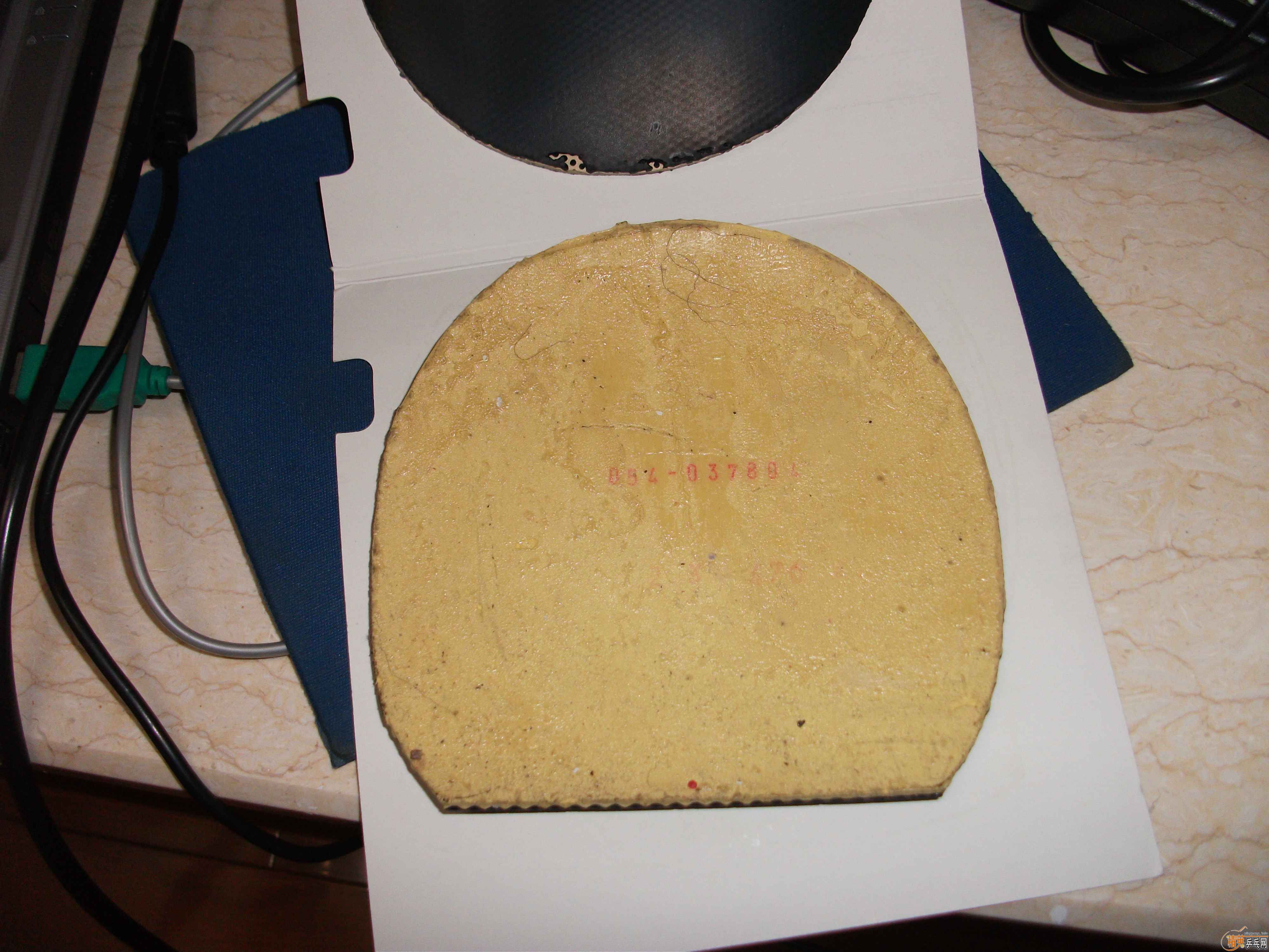 ���˳�����ֱ���ͺ�ɫ��������,���׼Ӣ�,����470(120Ԫȫ��)