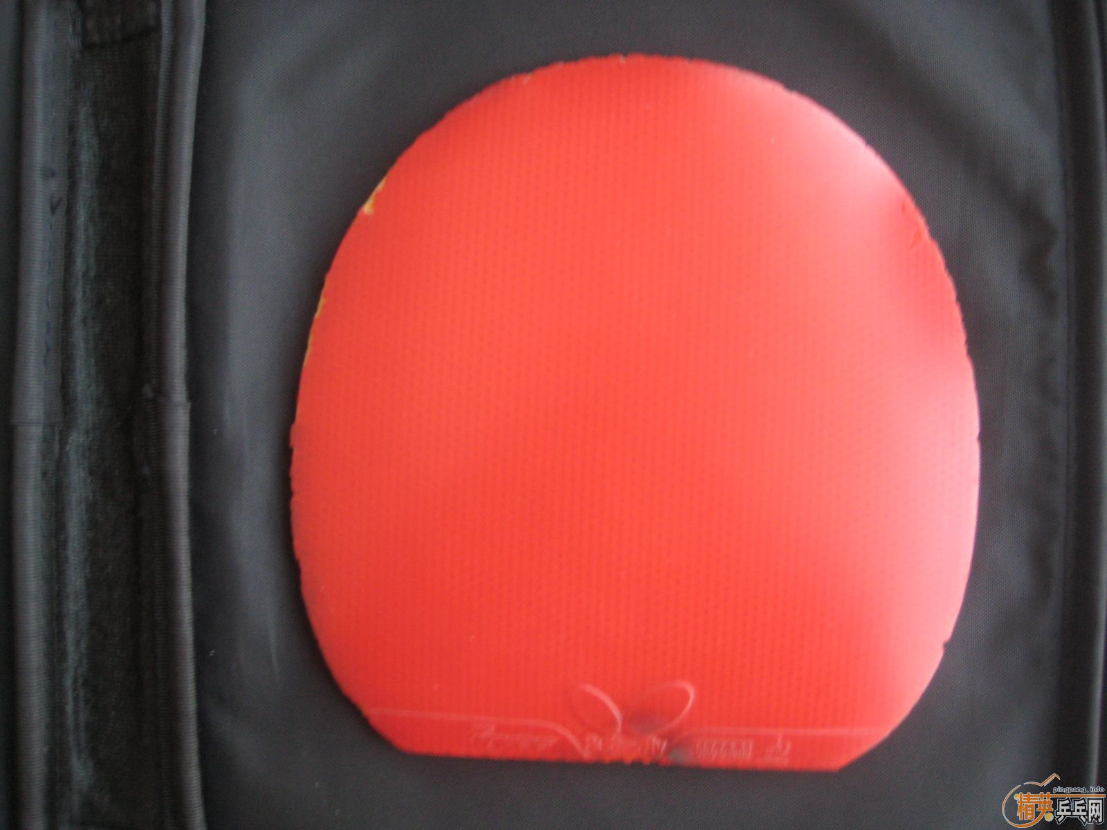 ��ͺ�2.1  70����!   F1 ��MAX  100���죡֧��������